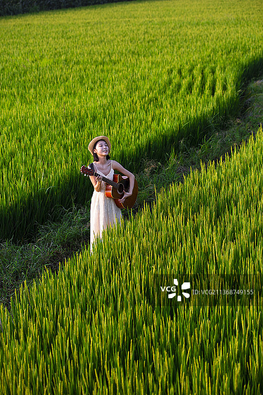 年轻女子在稻田里弹吉他图片素材