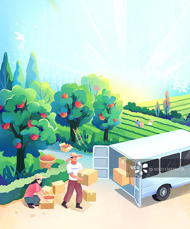 清晨的果园图片素材