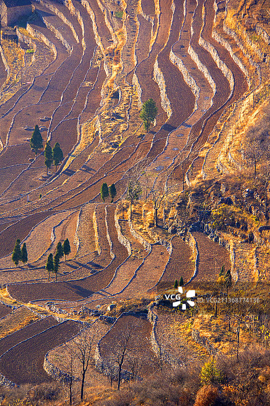 晋南太行山区古梯田图片素材