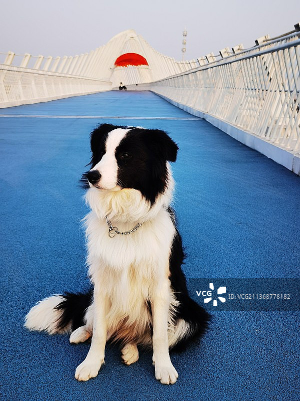 成都月亮湾步行天桥图片素材