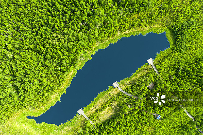 白鹿岛度假区森林湖泊图片素材