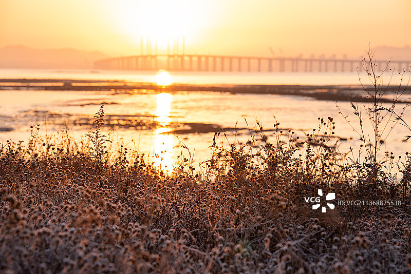 海边，大桥，日出，草地图片素材