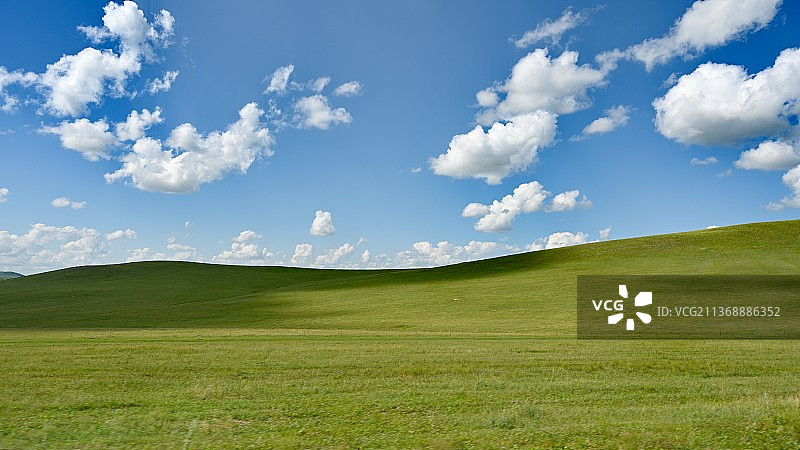 Windows桌面是真的，七月的呼伦贝尔图片素材