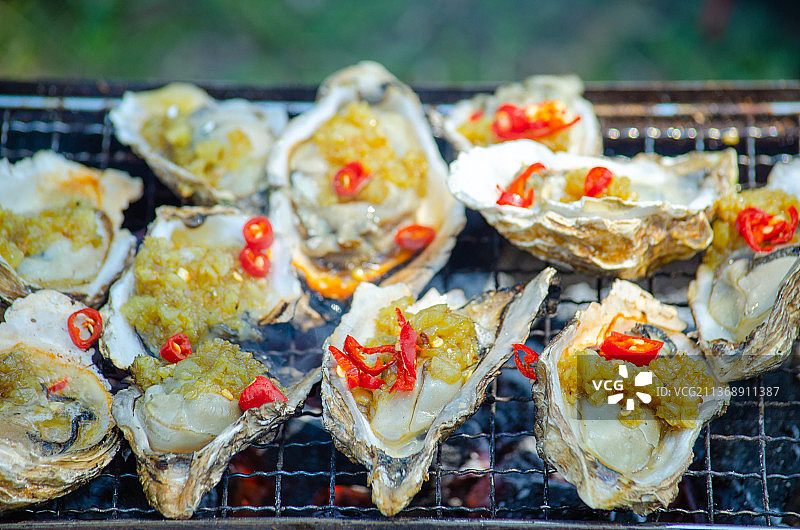 中国户外休闲美食活动，在烧烤炉子上烘烤一排生蚝图片素材