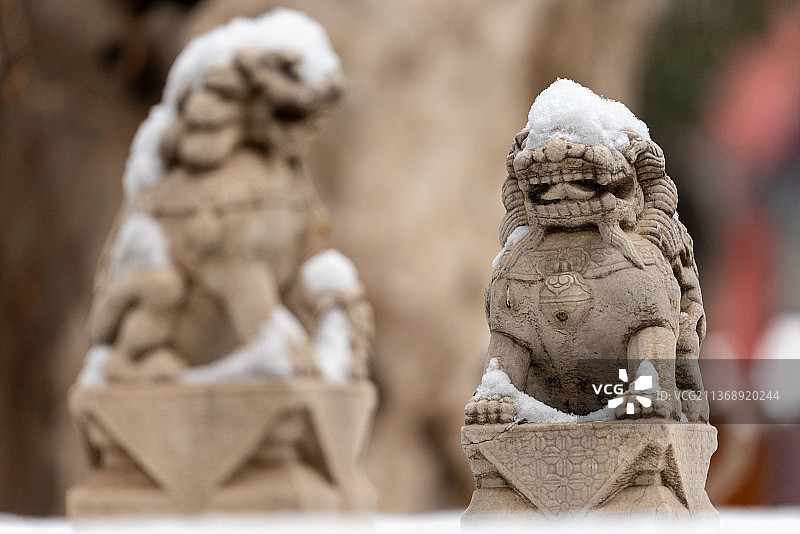 雪后故宫御花园石狮头顶戴雪的唯美雪景图片素材