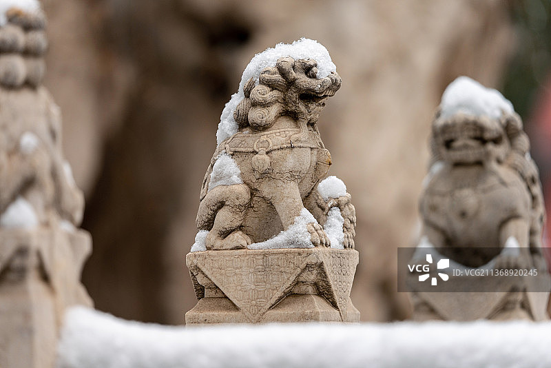 雪后故宫御花园石狮头顶戴雪的唯美雪景图片素材