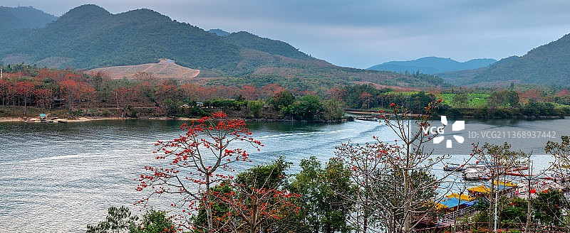 昌化江畔木棉红图片素材