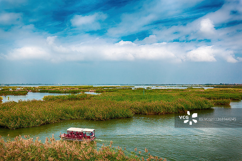 宁夏沙湖鸟岛景区图片素材