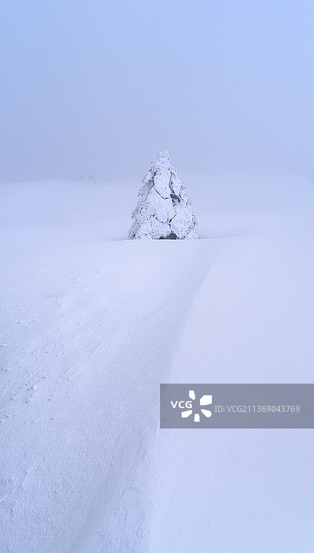 昆明禄劝轿子雪山金字塔状树木图片素材