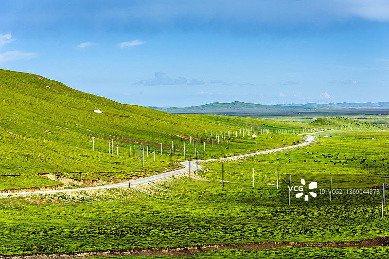 中国四川若尔盖大草原图片素材