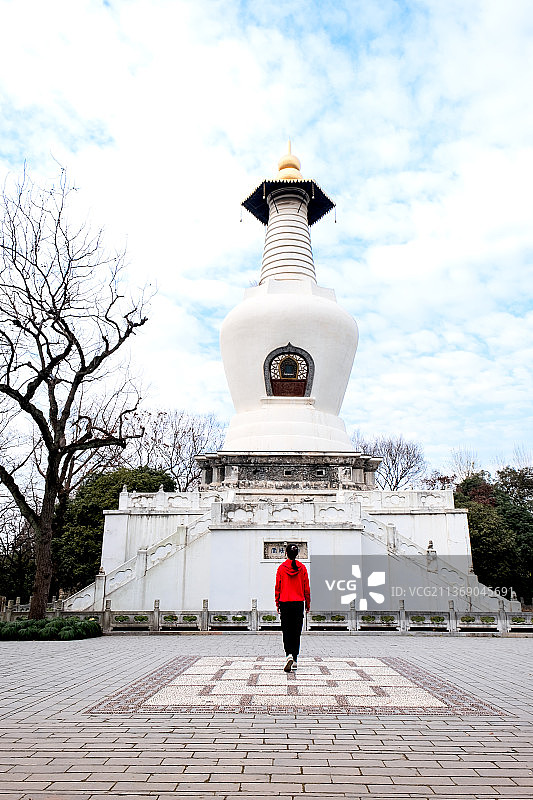 蓝天白云白塔下灵动的精灵（拍摄于扬州瘦西湖）图片素材