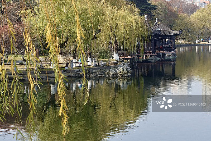 冬季莫愁湖图片素材