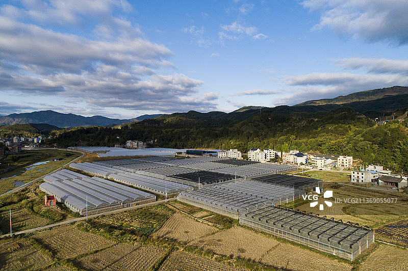 蔬菜种植大棚图片素材