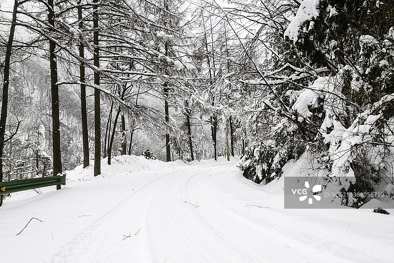 高山大雪后的公路图片素材