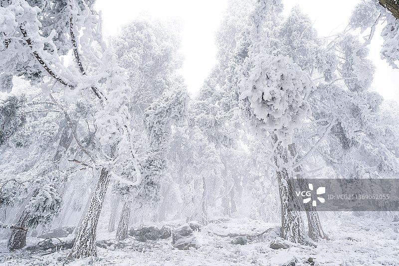 南岳衡山雾凇图片素材