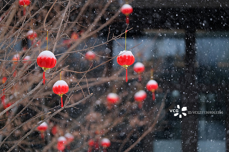 雪天悬挂在树枝上的红灯笼特写深色背景图片素材