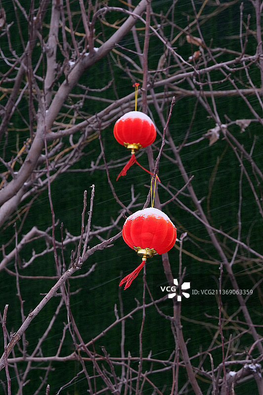 雪天悬挂在树枝上的红灯笼特写深色背景图片素材