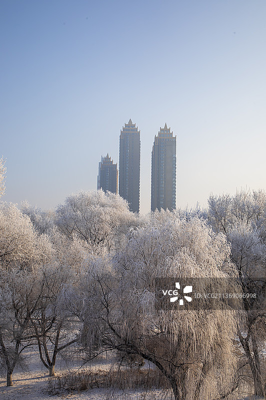 吉林省吉林市城区江滨公园迎来立春后的首场较好雾凇景观。图片素材