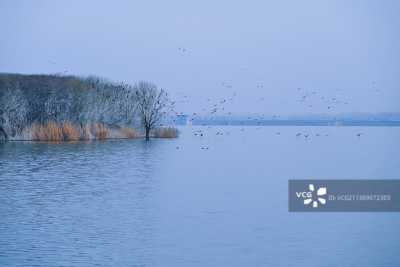 冬日水库图片素材