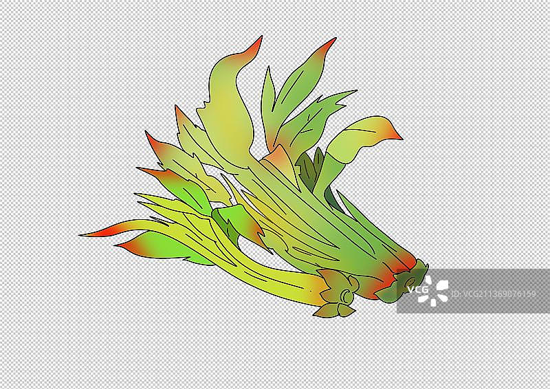 春天美味营养健康蔬菜香椿芽炒鸡蛋图片素材