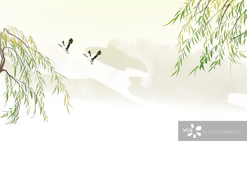 08。垂柳2图片素材