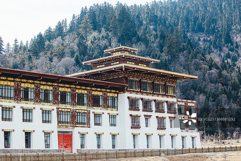 鲁朗国际旅游小镇图片素材