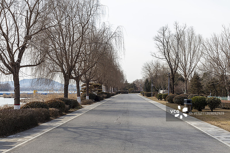 垂直的水泥路图片素材