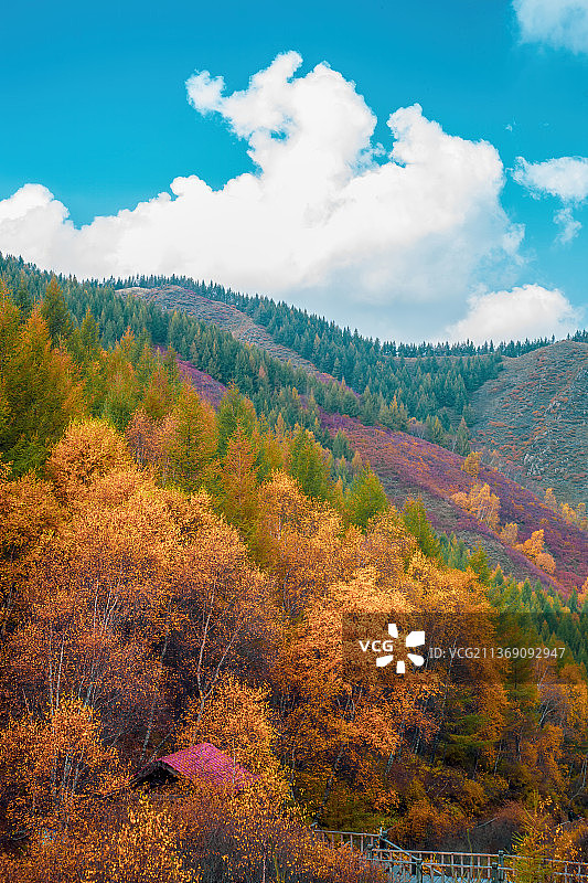 苏木山秋景图片素材