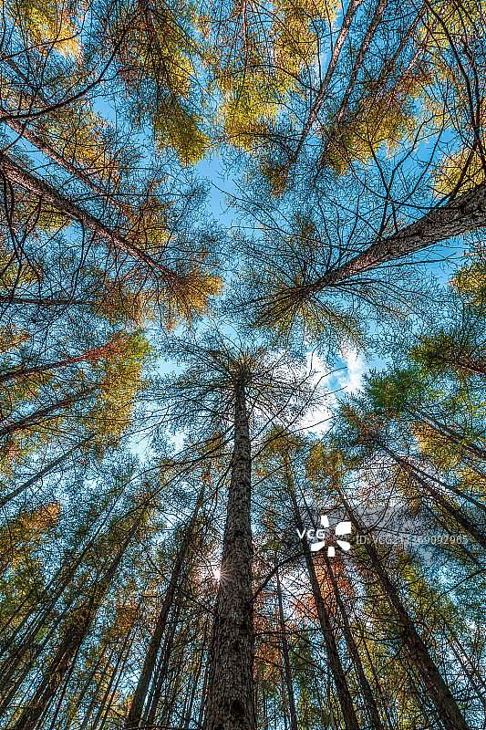苏木山秋景图片素材