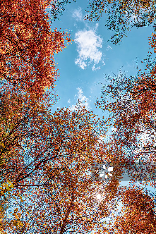 苏木山秋景图片素材