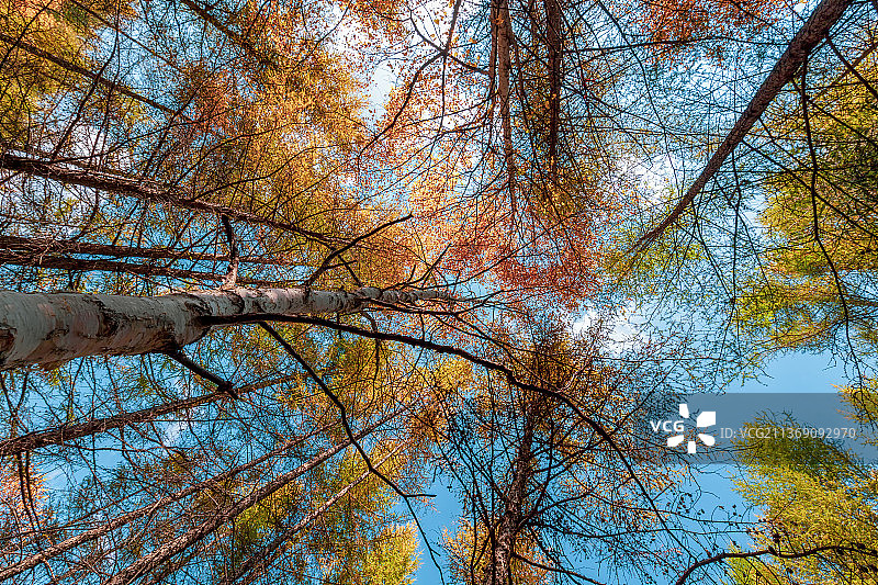 苏木山秋景图片素材