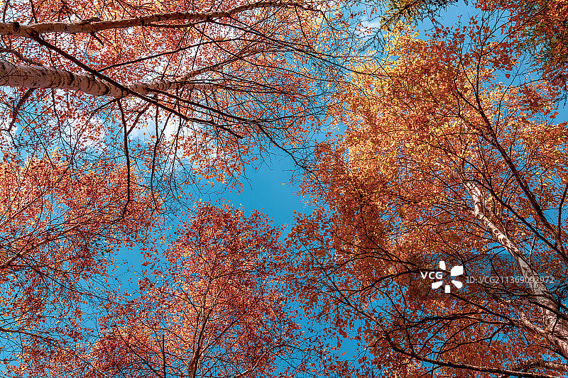 苏木山秋景图片素材