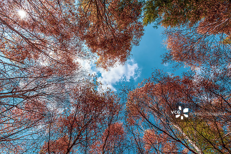 苏木山秋景图片素材