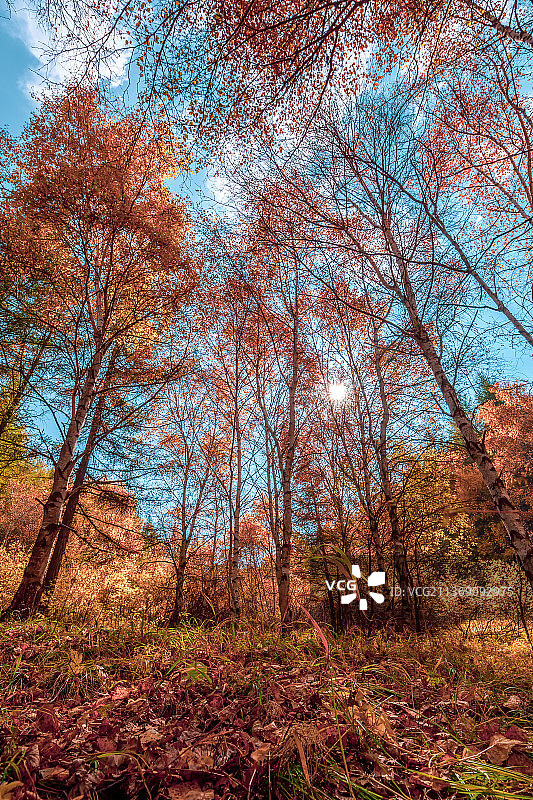 苏木山秋景图片素材