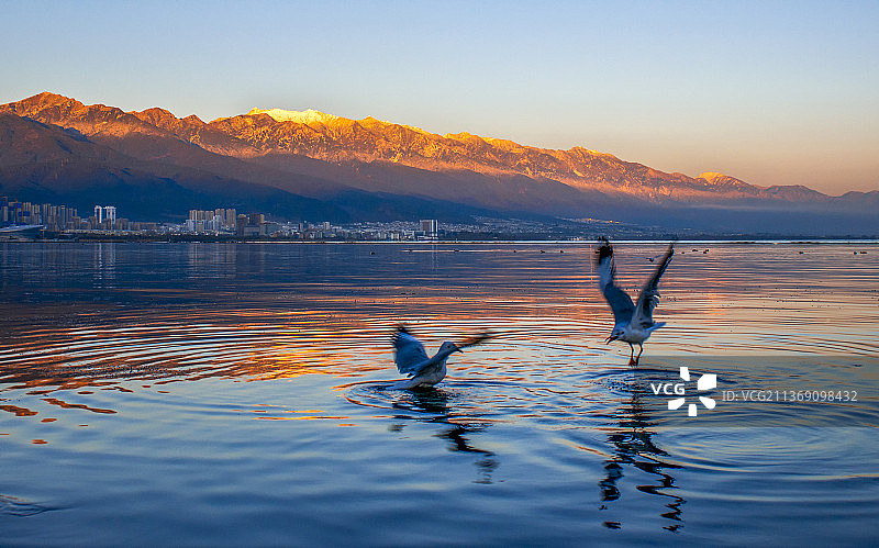大理：苍洱晨韵图片素材