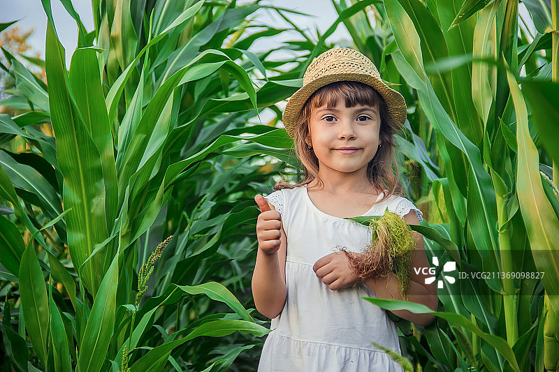 玉米地里的小孩，小农夫选择性对焦图片素材