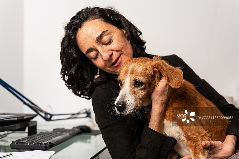居家办公的女人和她的狗玩耍图片素材