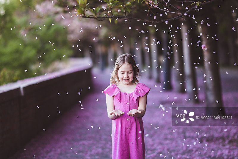 春日樱花公园中的粉色连衣裙美女图片素材