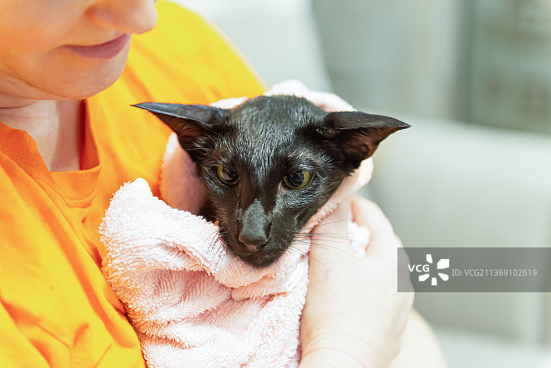 抱着黑猫的女人和男孩图片素材