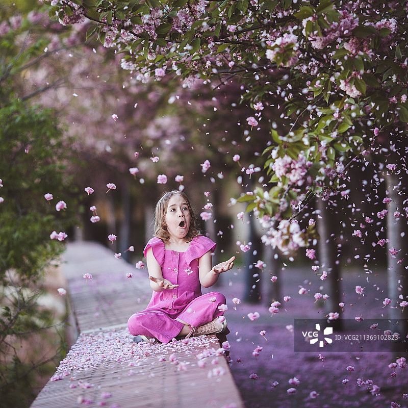 坐在樱花公园里的女孩，花瓣从树上飘落图片素材