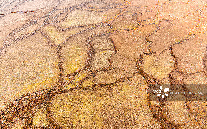 黄石公园陆地表面的沼泽区域与自然纹理图片素材