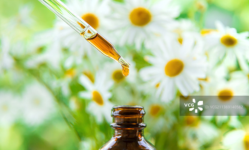 滴管中的洋甘菊提取物酊剂，选择性聚焦图片素材