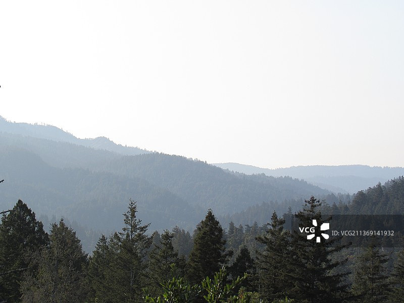 晴空下的山景，美国加利福尼亚州亨利·考威尔红杉州立公园图片素材