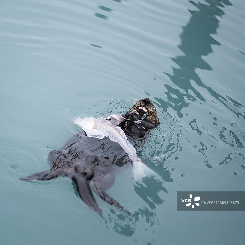 阿拉斯加往事23图片素材