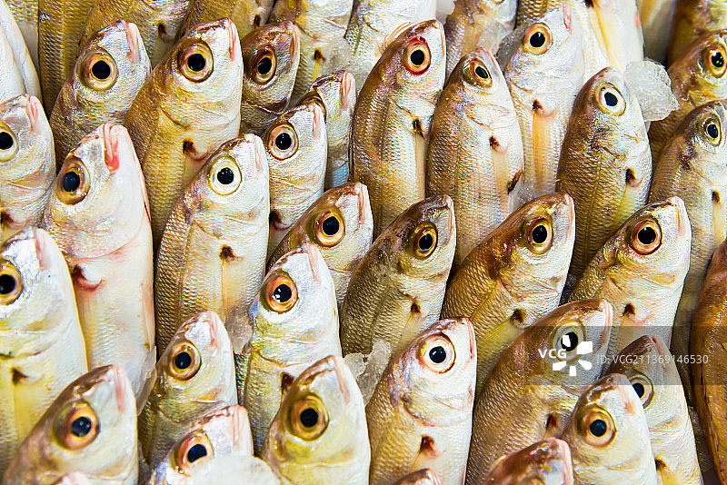 海鲜市场里的一堆鱼，市场上待售的咸水鱼特写图片素材