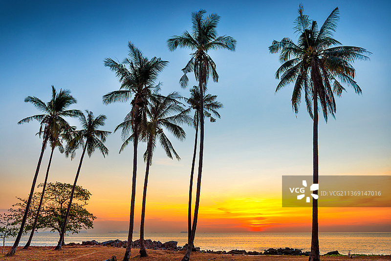 泰国兰塔岛日落海滨棕榈树图片素材