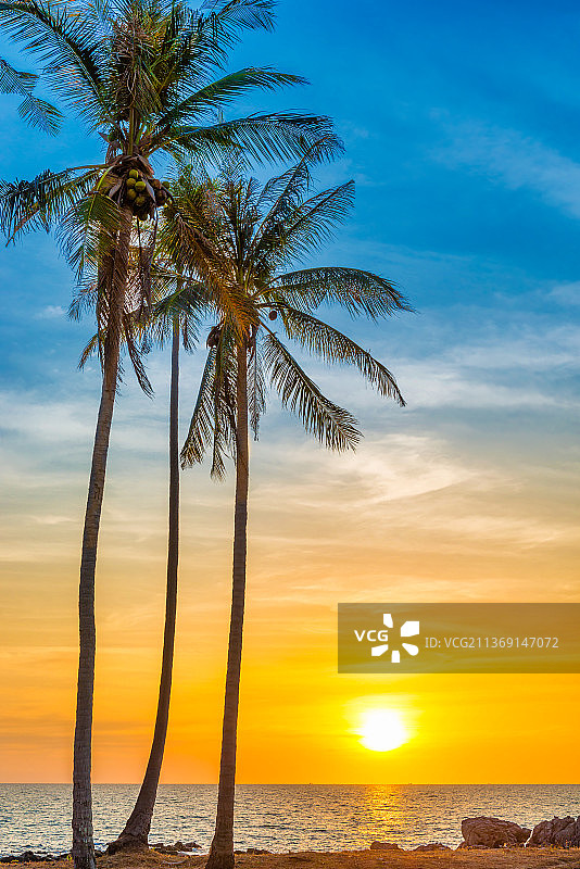 泰国兰塔岛海滩日落椰树剪影图片素材