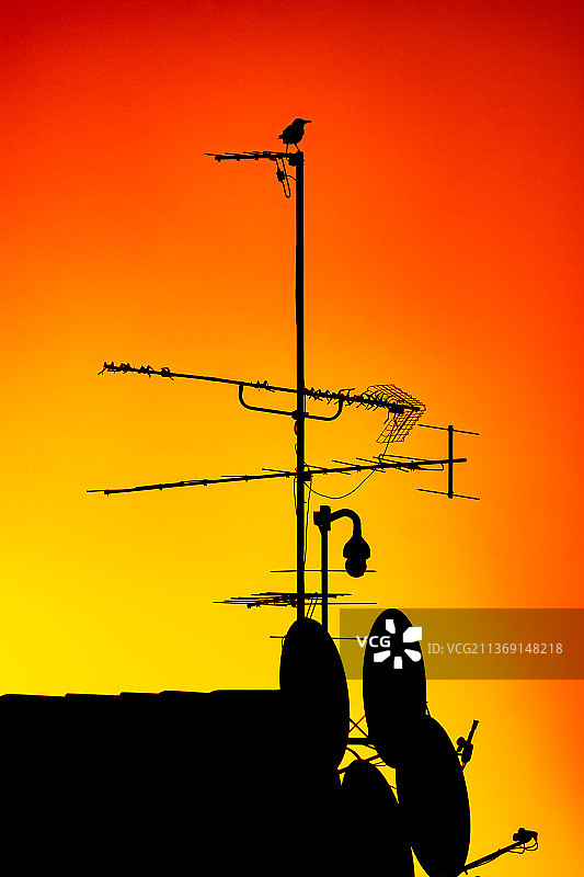 橙色天空下的路灯剪影图片素材