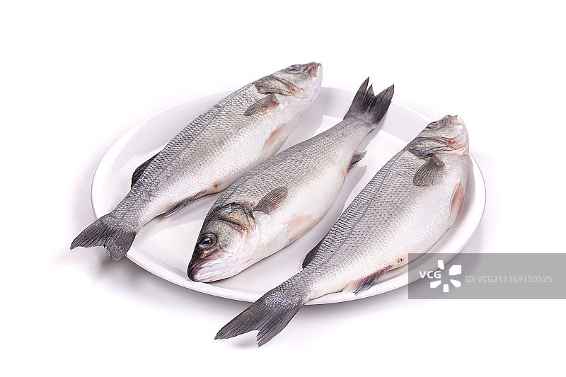 盘子里的三条新鲜海鲈鱼，摩尔多瓦白色背景下的鱼特写图片素材