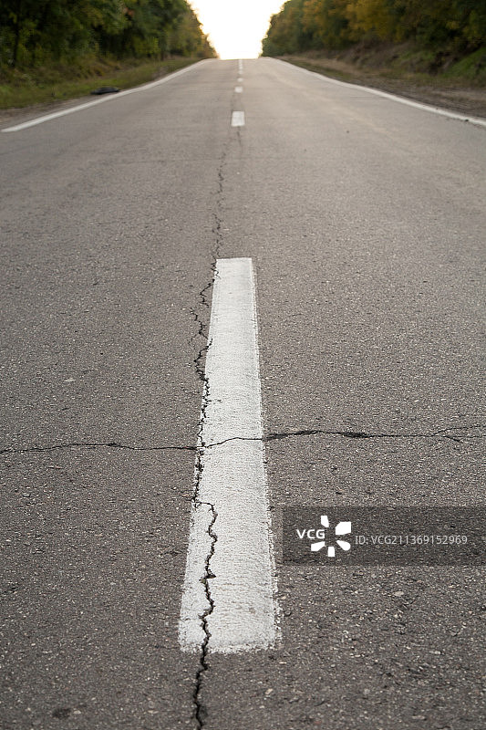 道路标记，摩尔多瓦树木间的空旷道路图片素材